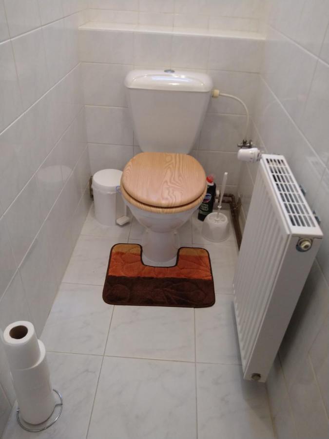 Apartman U Cechu 알브레흐티체 프 이제르스키흐 호라흐 외부 사진