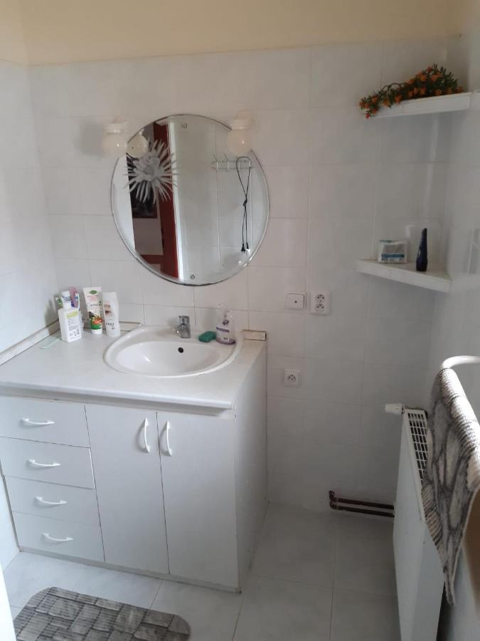 Apartman U Cechu 알브레흐티체 프 이제르스키흐 호라흐 외부 사진