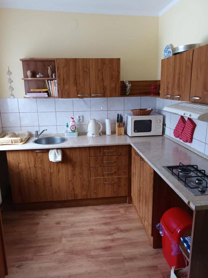 Apartman U Cechu 알브레흐티체 프 이제르스키흐 호라흐 외부 사진